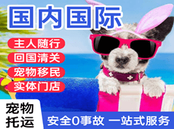 牡丹江海浪航空物流国际宠物托运 【国